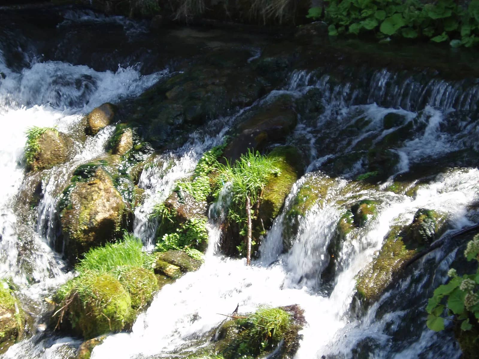 Water tumbling over mossy stone at the Kleptuza spring, Velingrad