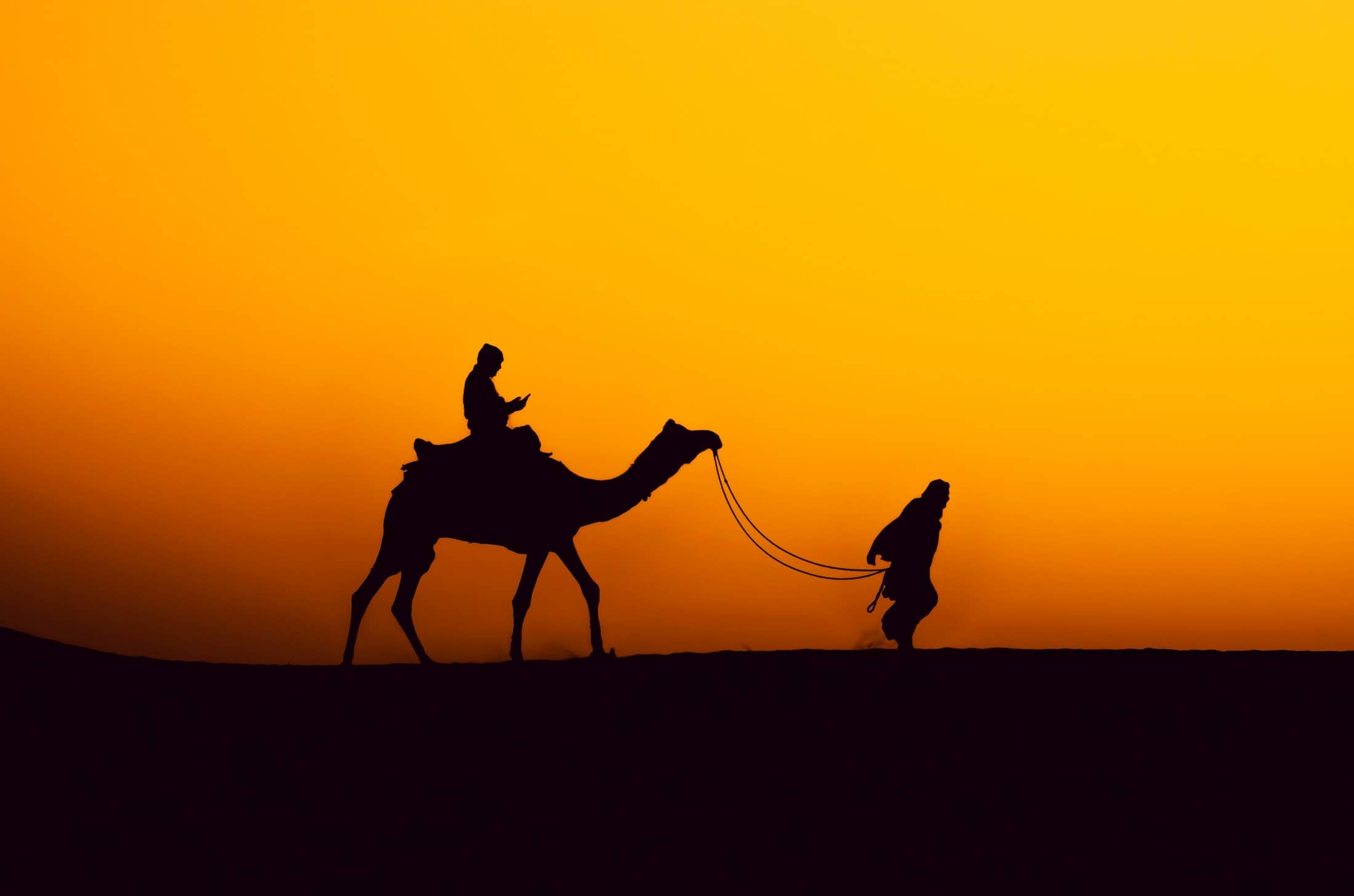 Into the desert