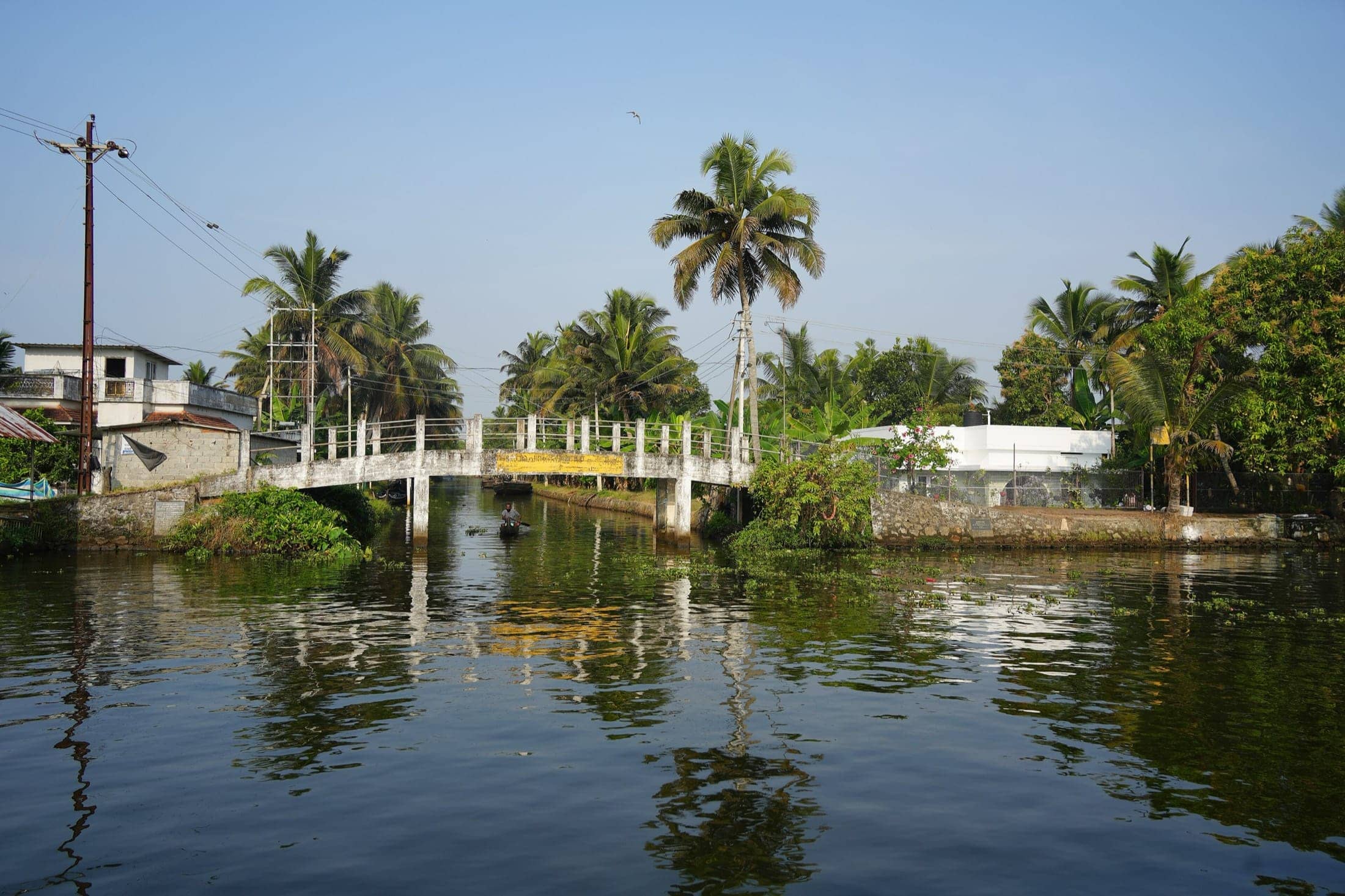 Backwaters near Nedumudy
