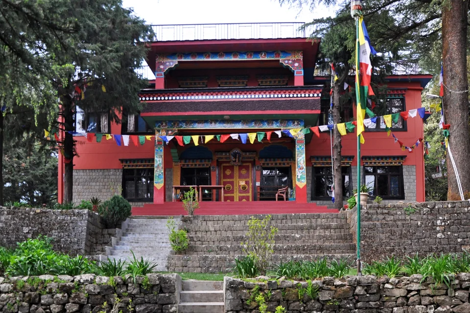Tushita, Dharamkot