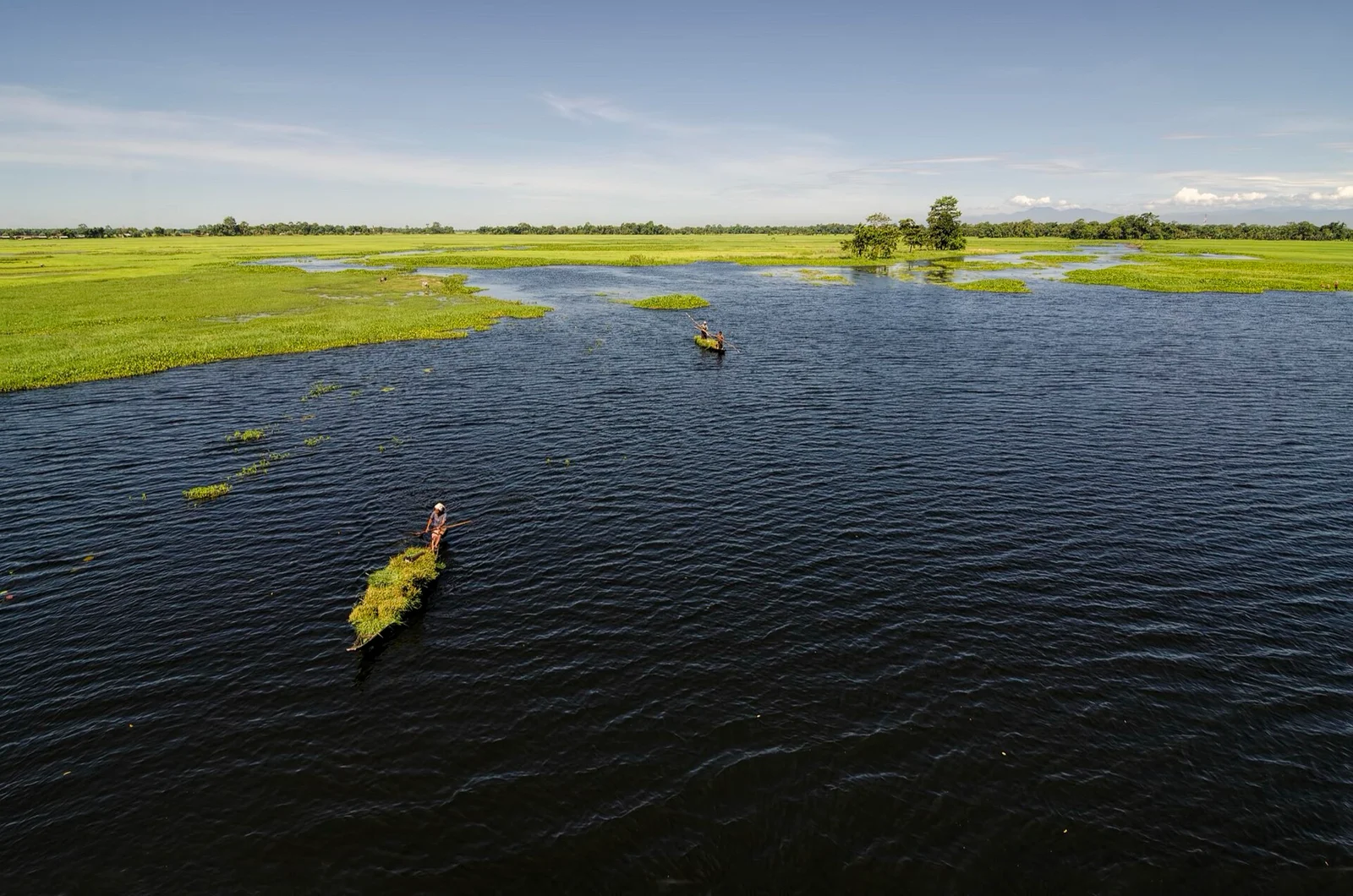 Grass boats on the Doriya, morning