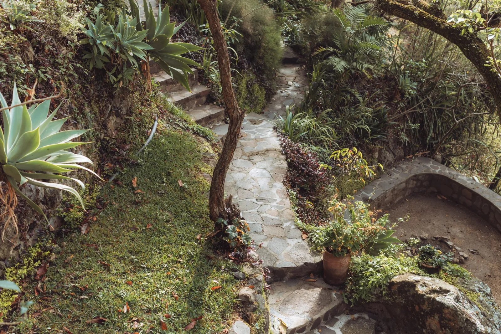 Kawoq Forest