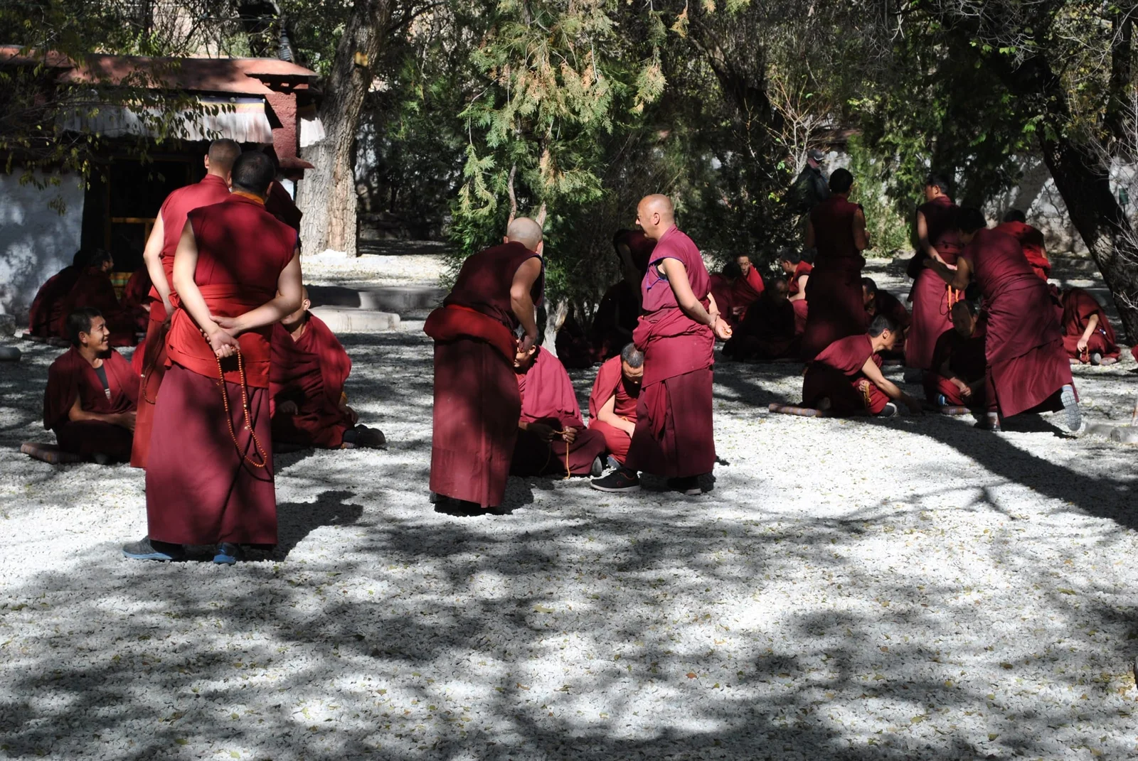 Monks debating Buddhist philosophy in a monastery courtyard in Bir