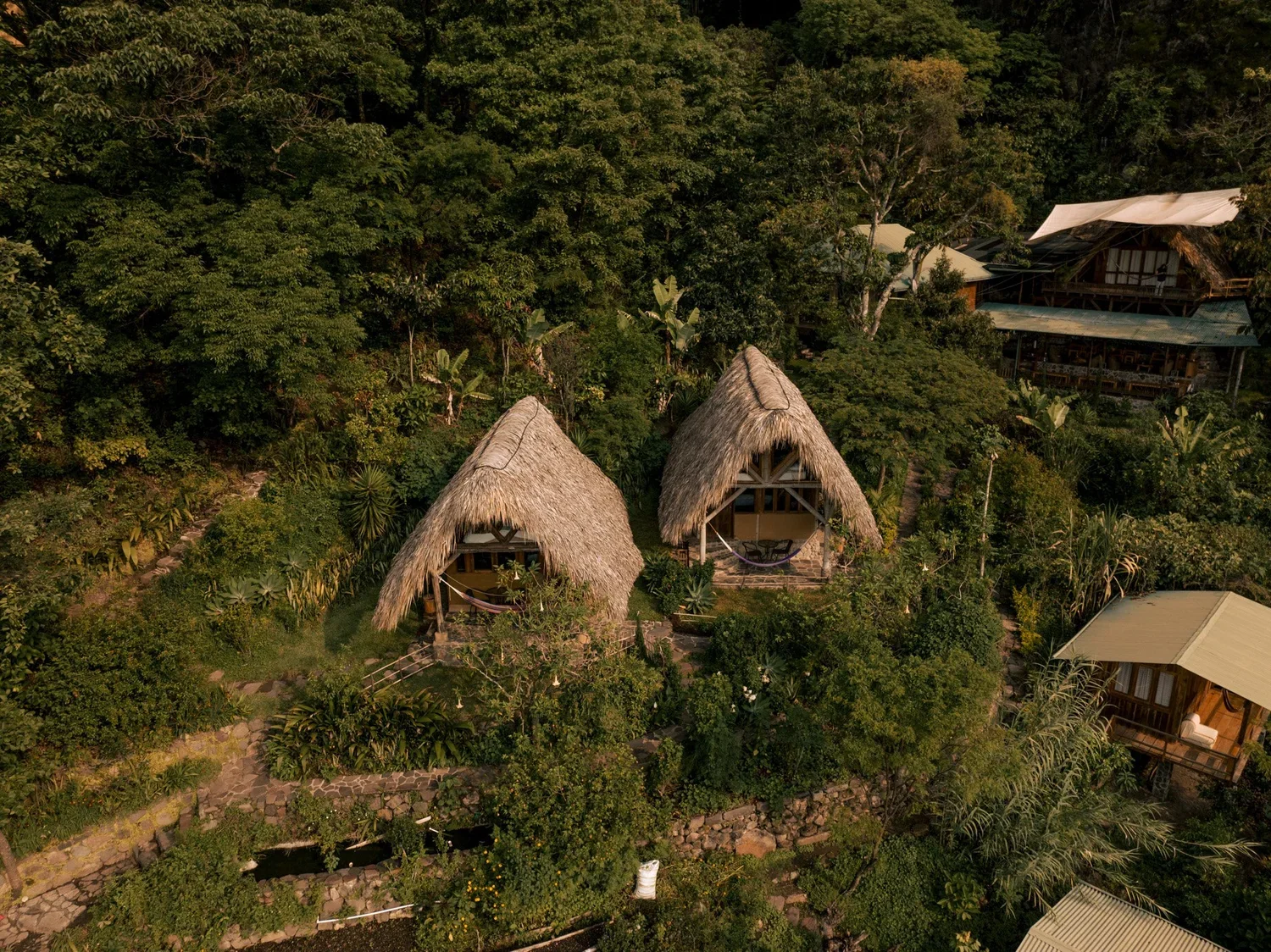 Kawoq Forest