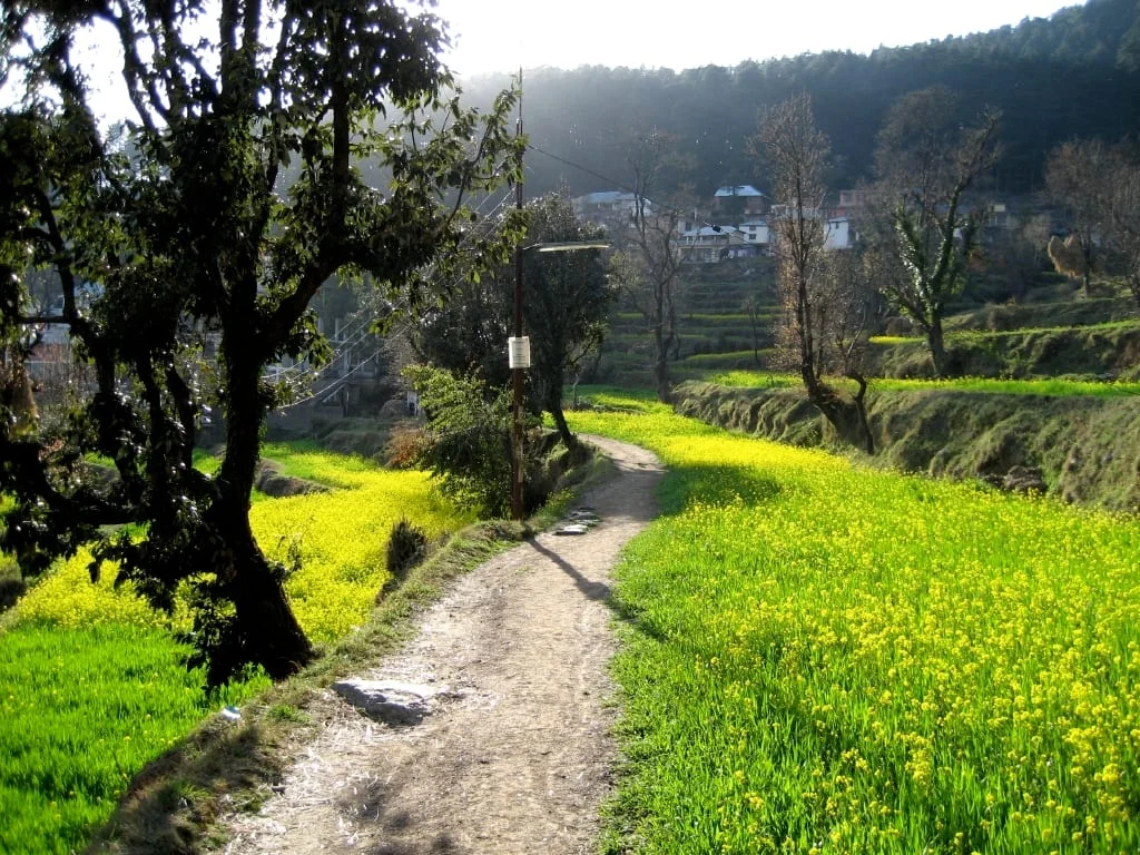 The walk up from McLeod Ganj