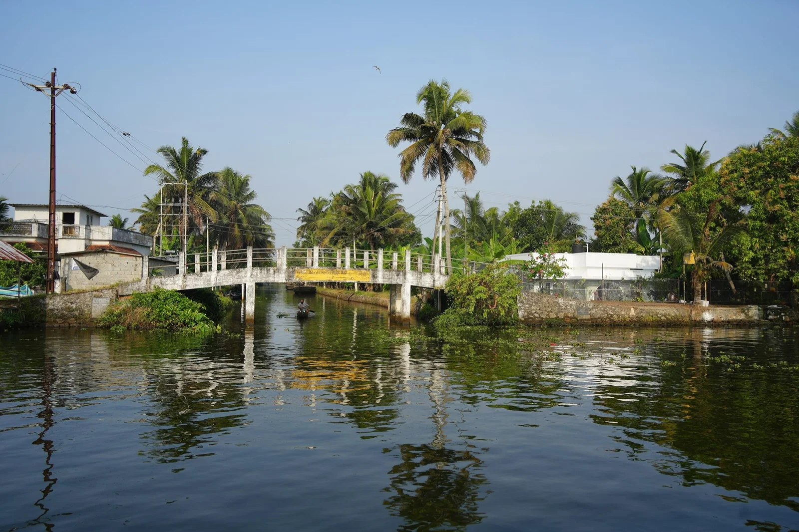 Backwaters near Nedumudy